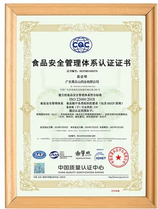 ISO 22000
