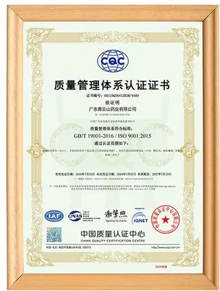 ISO 9001